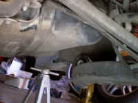 Trailing_Arm_Bushing_2.jpg (27519 bytes)